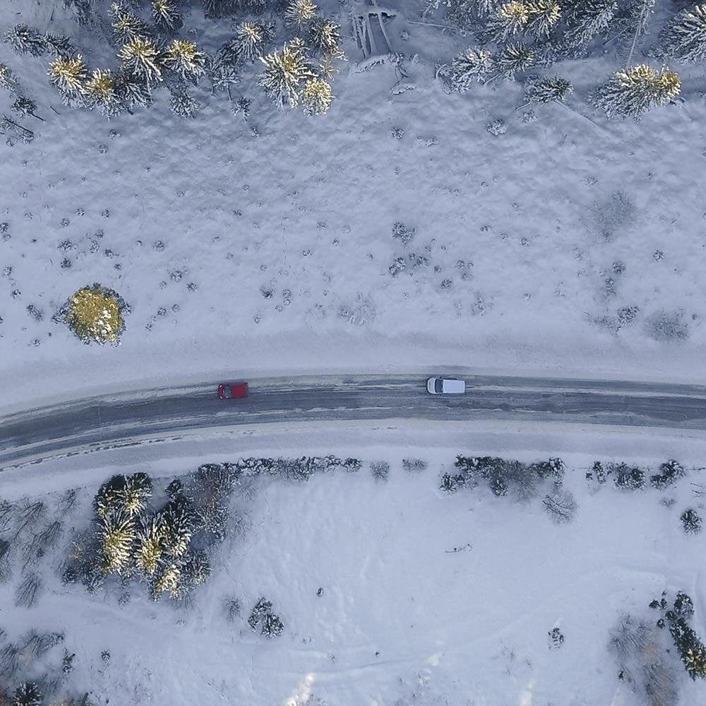 Glezna melnā rāmī - Street In The Middle Of The Forest Home Trends