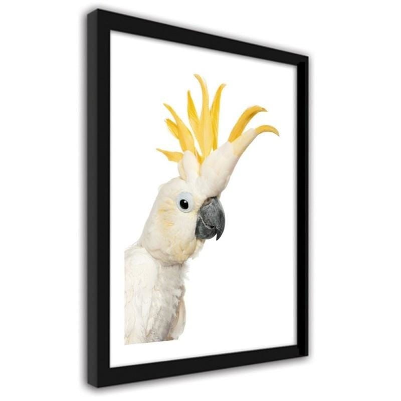 Glezna melnā rāmī - Sulphur-crested cockatoos Home Trends