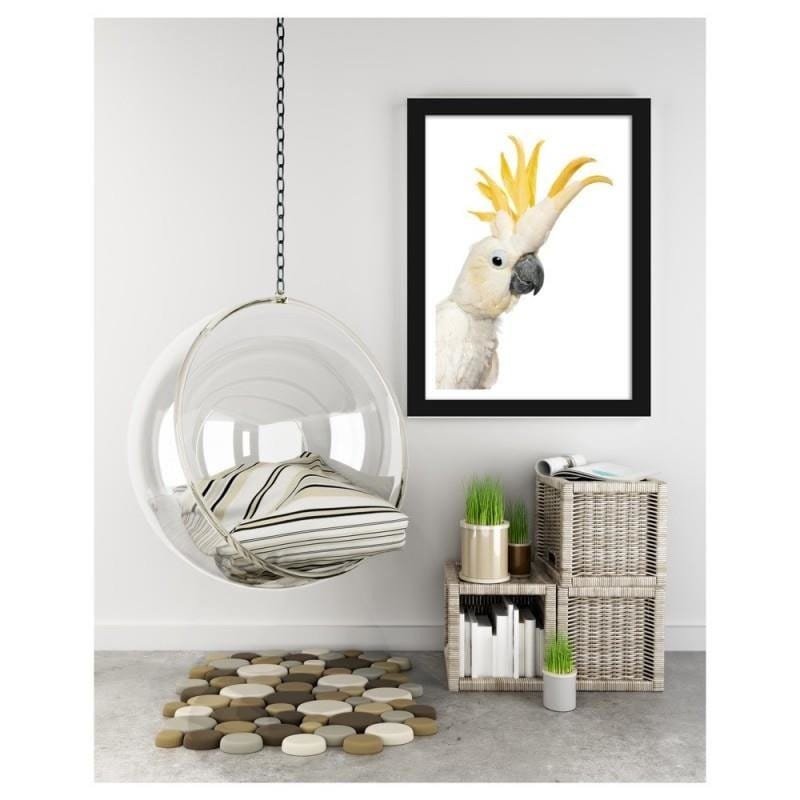 Glezna melnā rāmī - Sulphur-crested cockatoos Home Trends