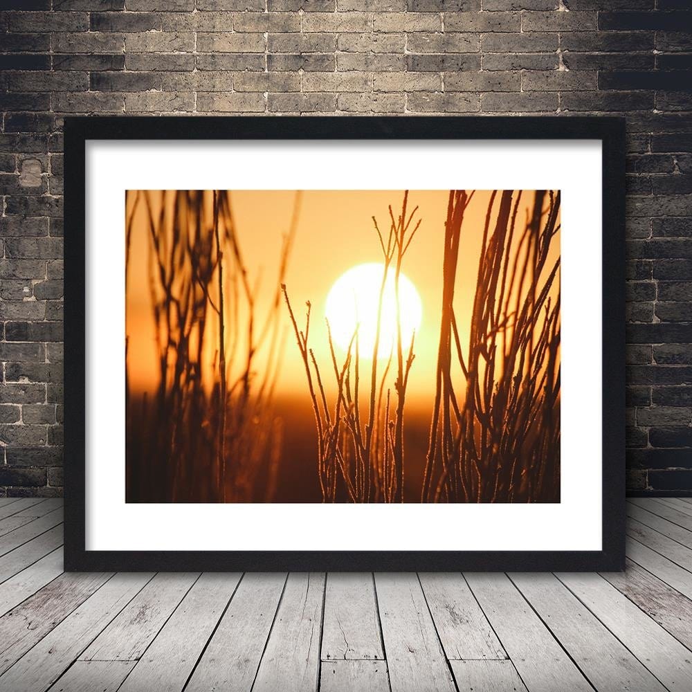 Glezna melnā rāmī - Sunset And Shrubs Home Trends