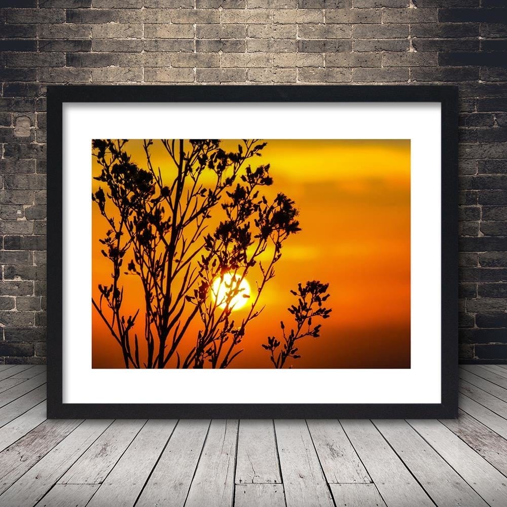 Glezna melnā rāmī - Sunset Behind A Plant Home Trends