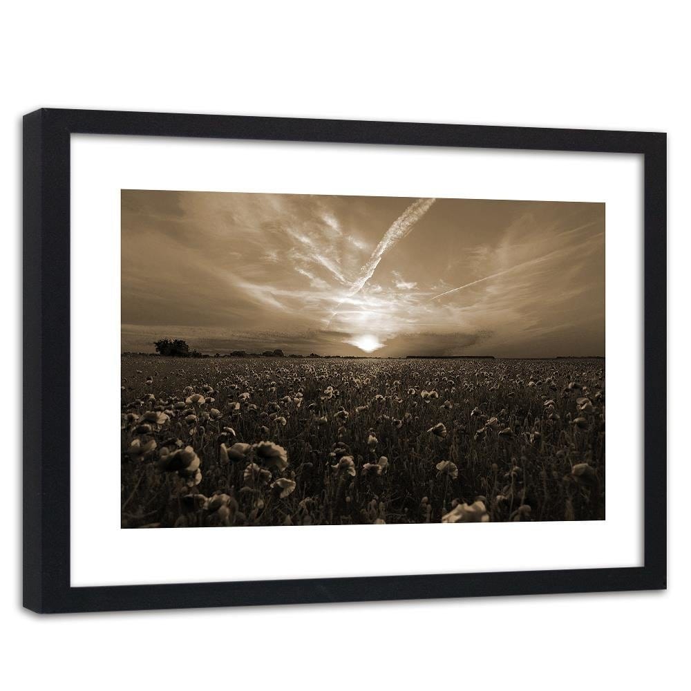 Glezna melnā rāmī - Sunset Over A Field Poppy 1 Home Trends