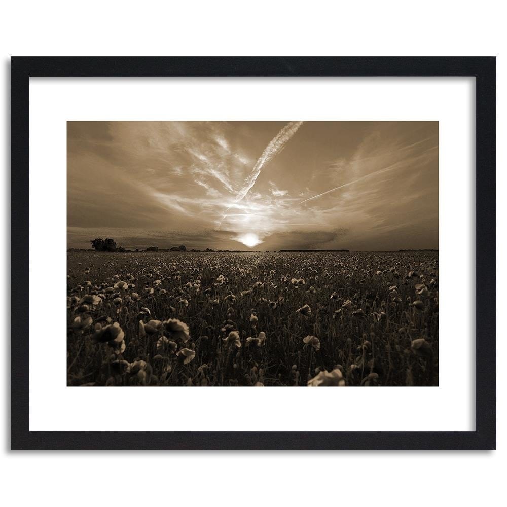 Glezna melnā rāmī - Sunset Over A Field Poppy 1 Home Trends