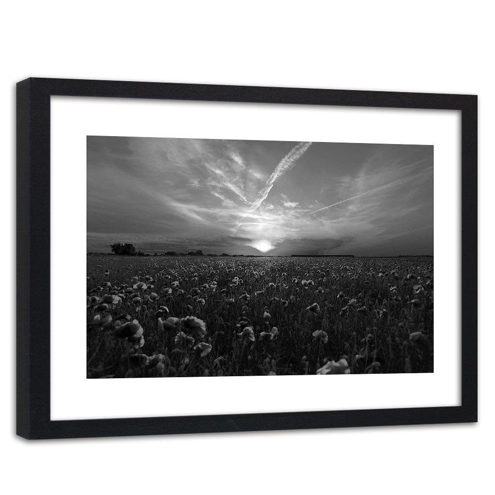 Glezna melnā rāmī - Sunset Over A Field Poppy 2 Home Trends