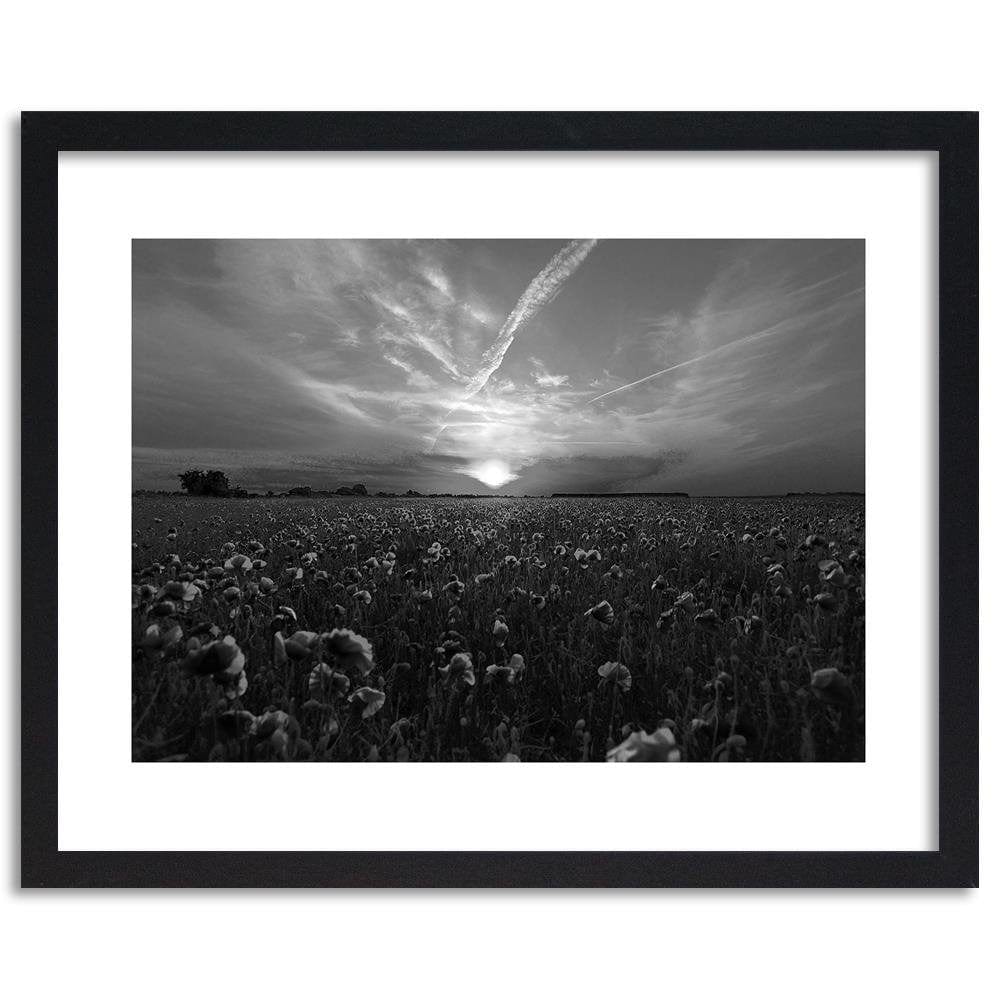 Glezna melnā rāmī - Sunset Over A Field Poppy 2 Home Trends