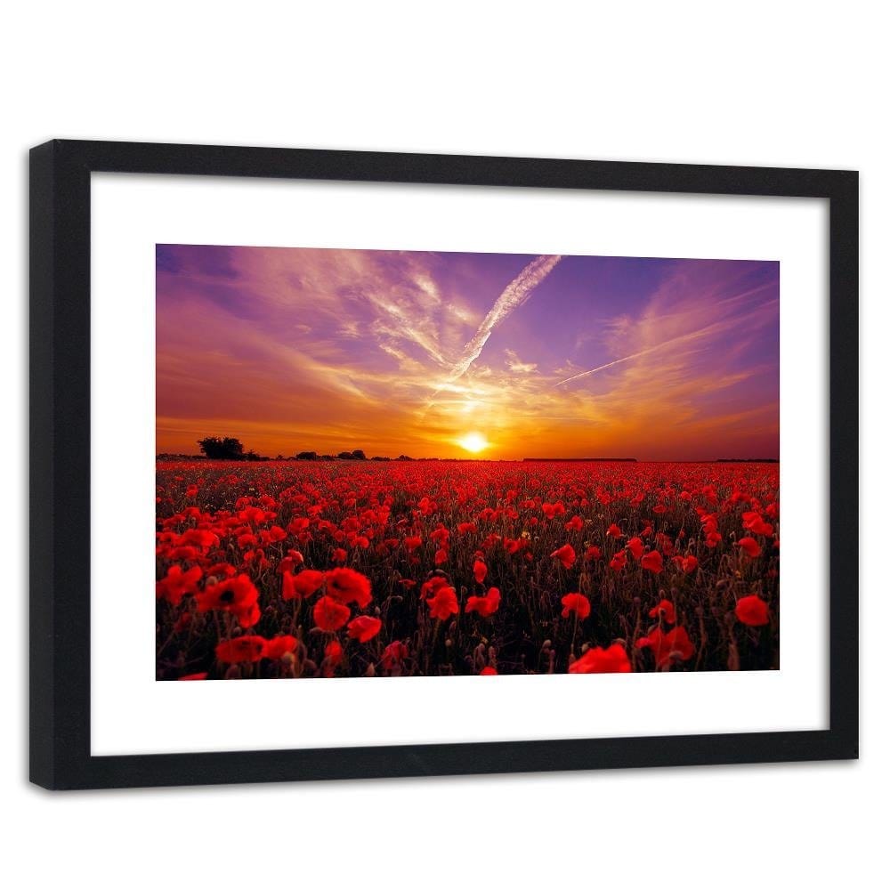 Glezna melnā rāmī - Sunset Over A Field Poppy 3 Home Trends