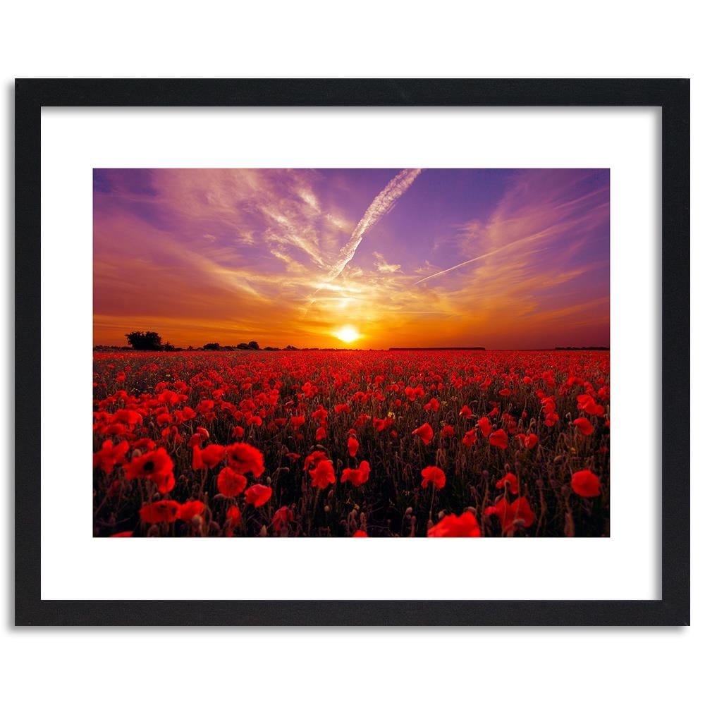 Glezna melnā rāmī - Sunset Over A Field Poppy 3 Home Trends