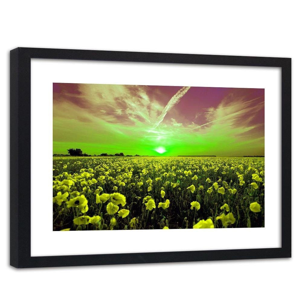 Glezna melnā rāmī - Sunset Over A Field Poppy 4 Home Trends