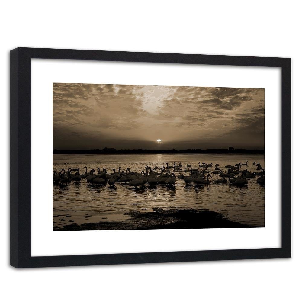 Glezna melnā rāmī - Swans On Shore 1 Home Trends