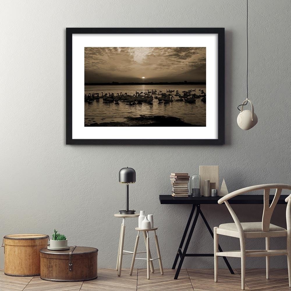 Glezna melnā rāmī - Swans On Shore 1 Home Trends
