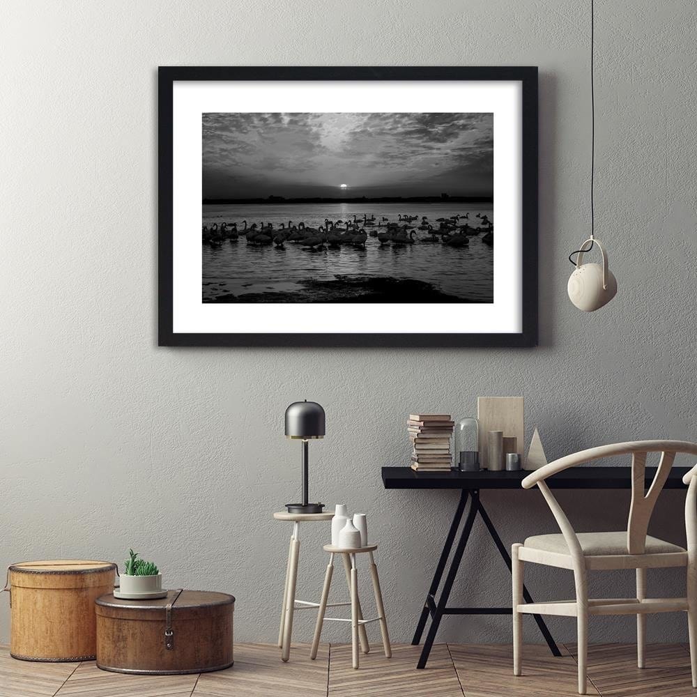 Glezna melnā rāmī - Swans On The Shore Of A Lake 2 Home Trends
