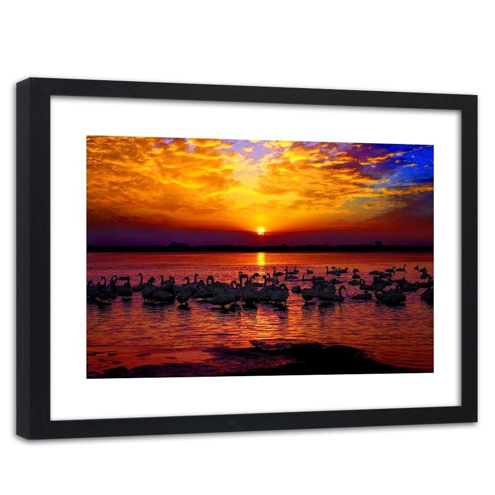 Glezna melnā rāmī - Swans On The Shore Of A Lake 3 Home Trends