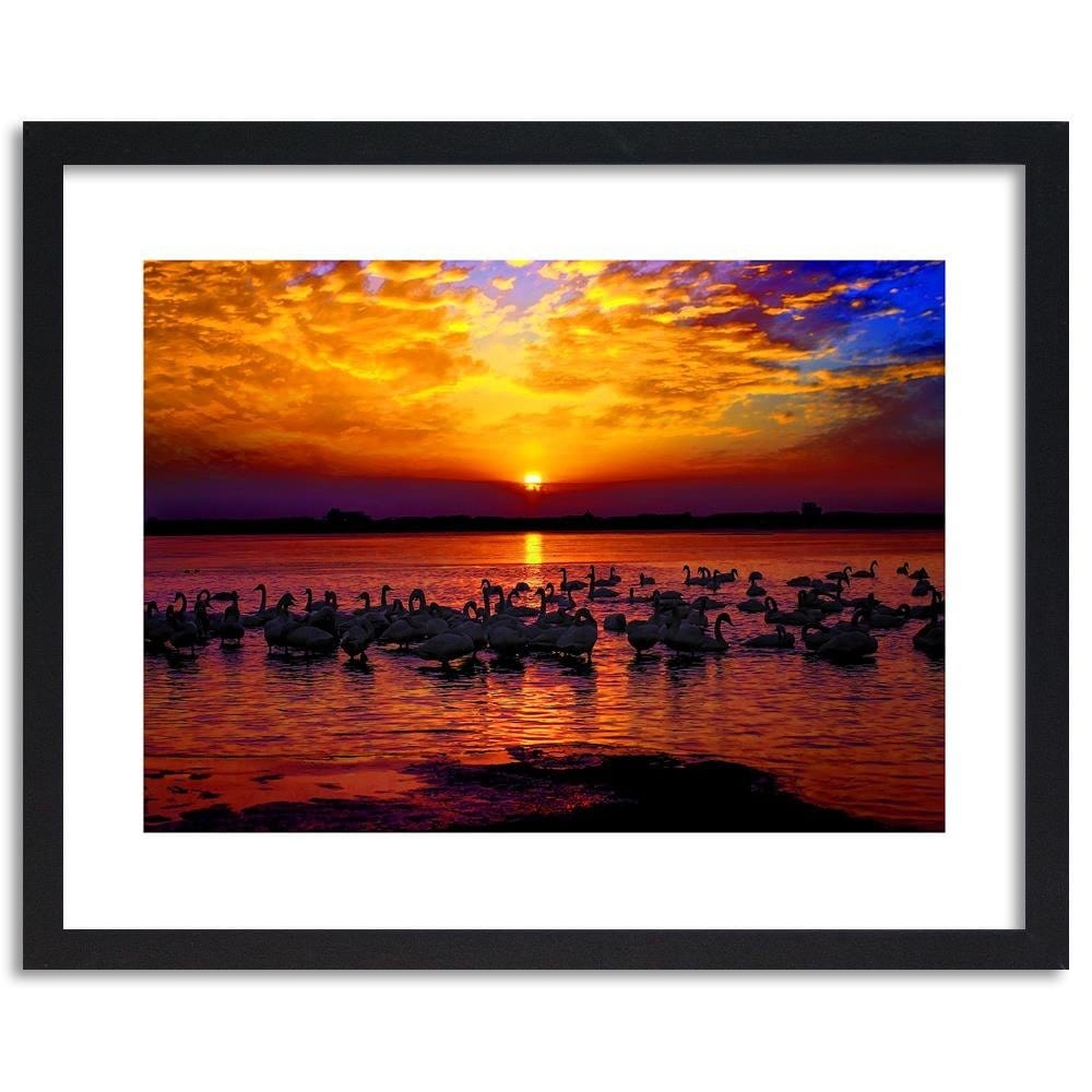 Glezna melnā rāmī - Swans On The Shore Of A Lake 3 Home Trends