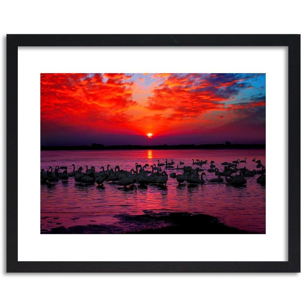 Glezna melnā rāmī - Swans On The Shore Of A Lake 4 Home Trends