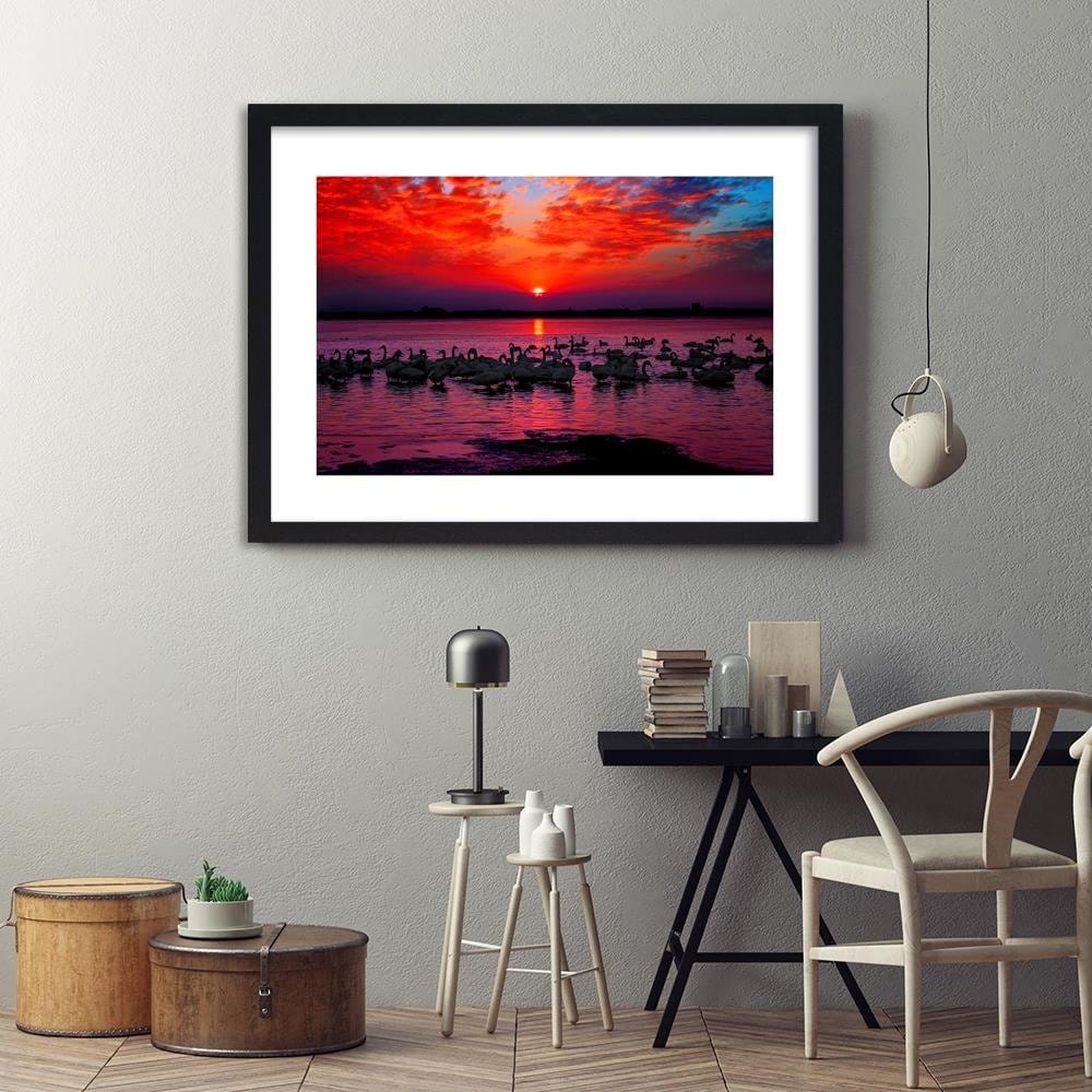 Glezna melnā rāmī - Swans On The Shore Of A Lake 4 Home Trends