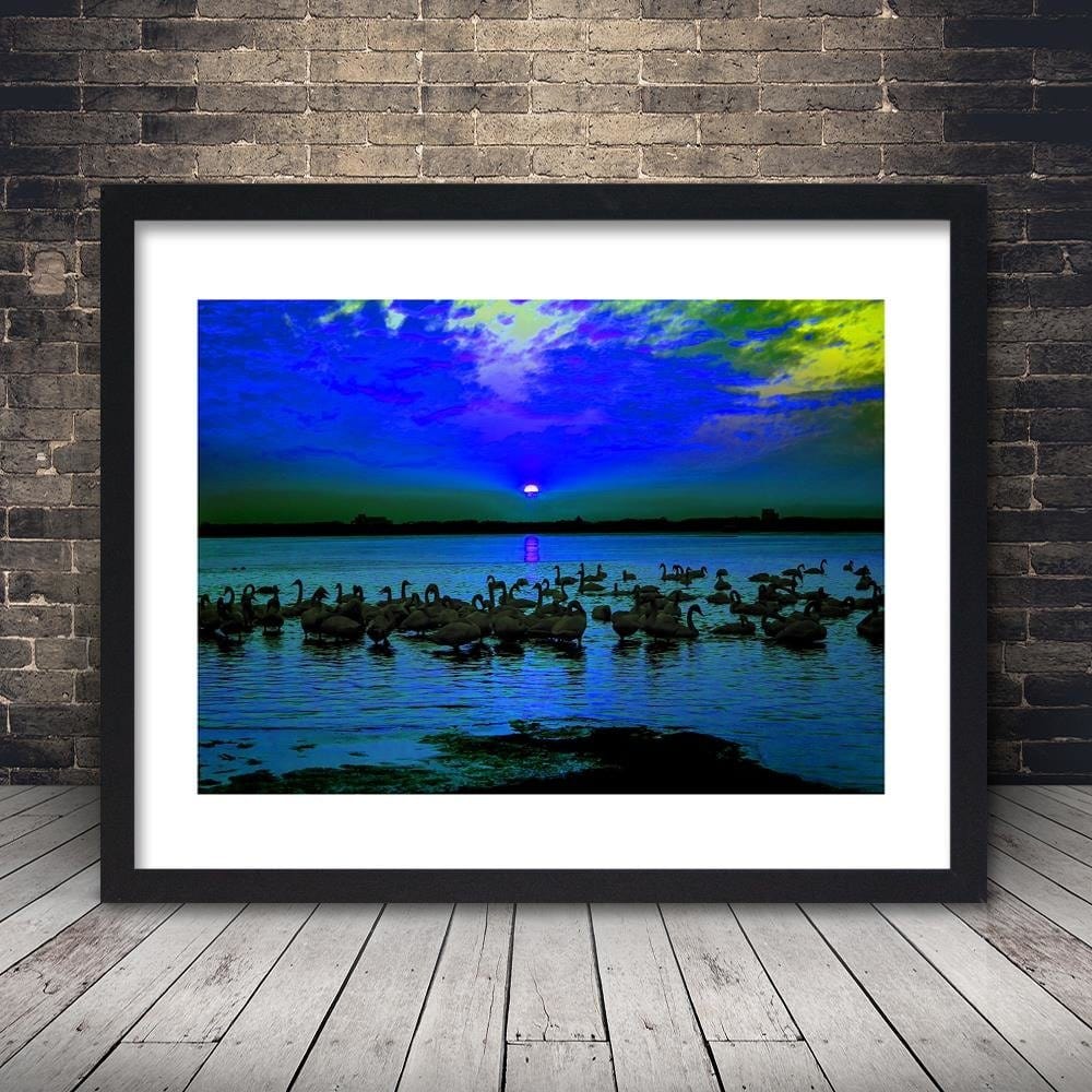 Glezna melnā rāmī - Swans On The Shore Of A Lake Home Trends