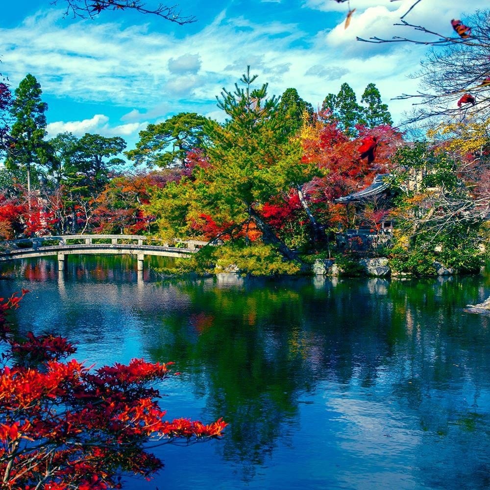 Glezna melnā rāmī - The Bridge Over The River In The Park 3 Home Trends