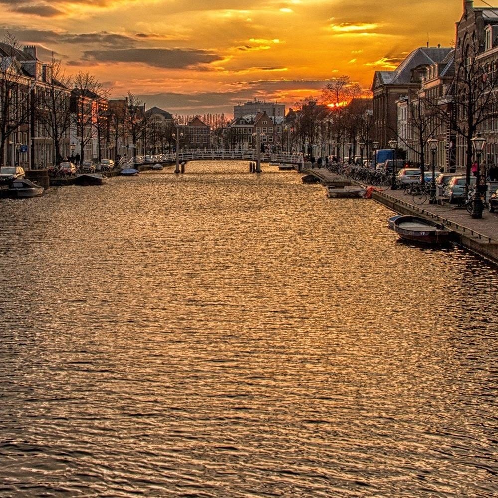 Glezna melnā rāmī - The City On The River Home Trends