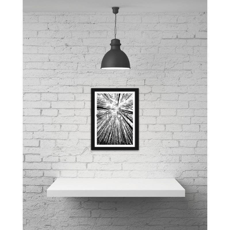 Glezna melnā rāmī - The forest Home Trends