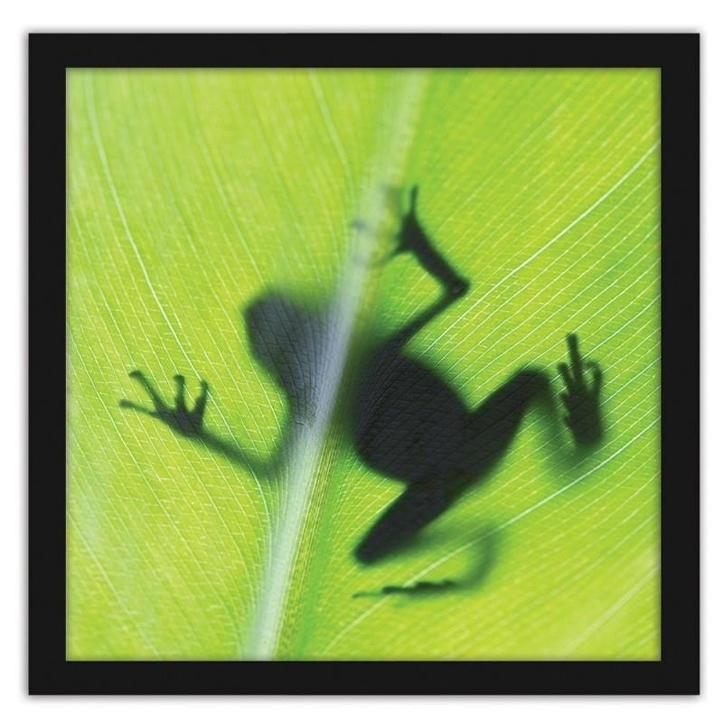 Glezna melnā rāmī - The frog on the green leaf Home Trends