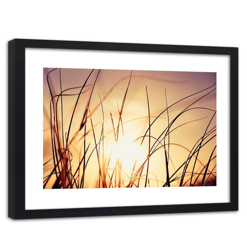 Glezna melnā rāmī - The Grass In The Sunshine  Home Trends