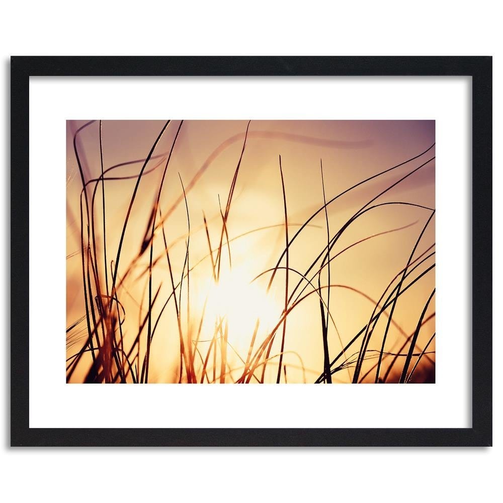 Glezna melnā rāmī - The Grass In The Sunshine  Home Trends