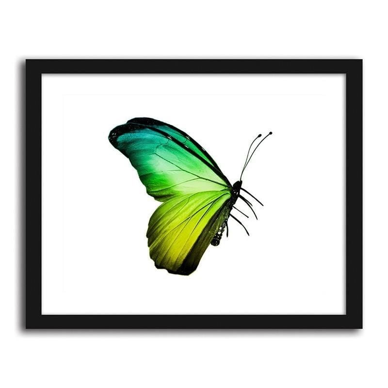 Glezna melnā rāmī - The green-blue butterfly Home Trends