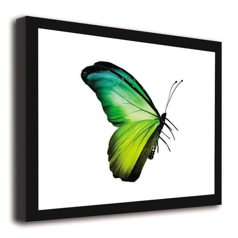 Glezna melnā rāmī - The green-blue butterfly Home Trends