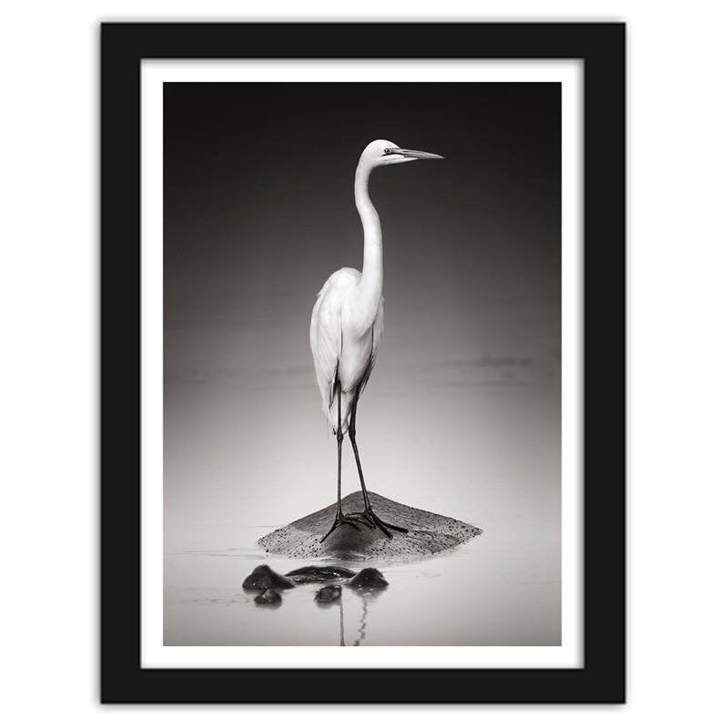 Glezna melnā rāmī - The heron on the hippopotamus Home Trends