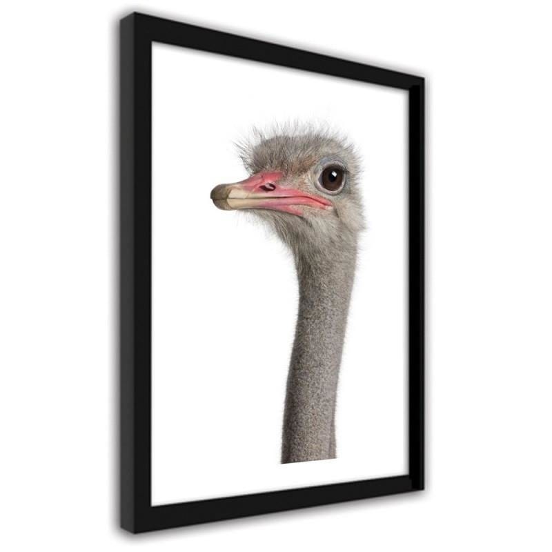 Glezna melnā rāmī - The ostrich head Home Trends
