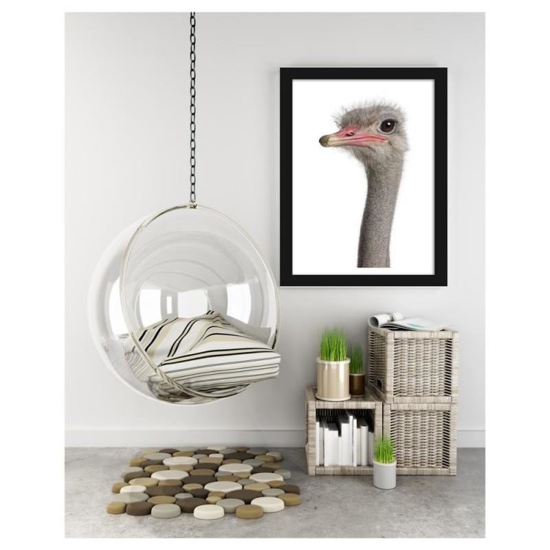 Glezna melnā rāmī - The ostrich head Home Trends