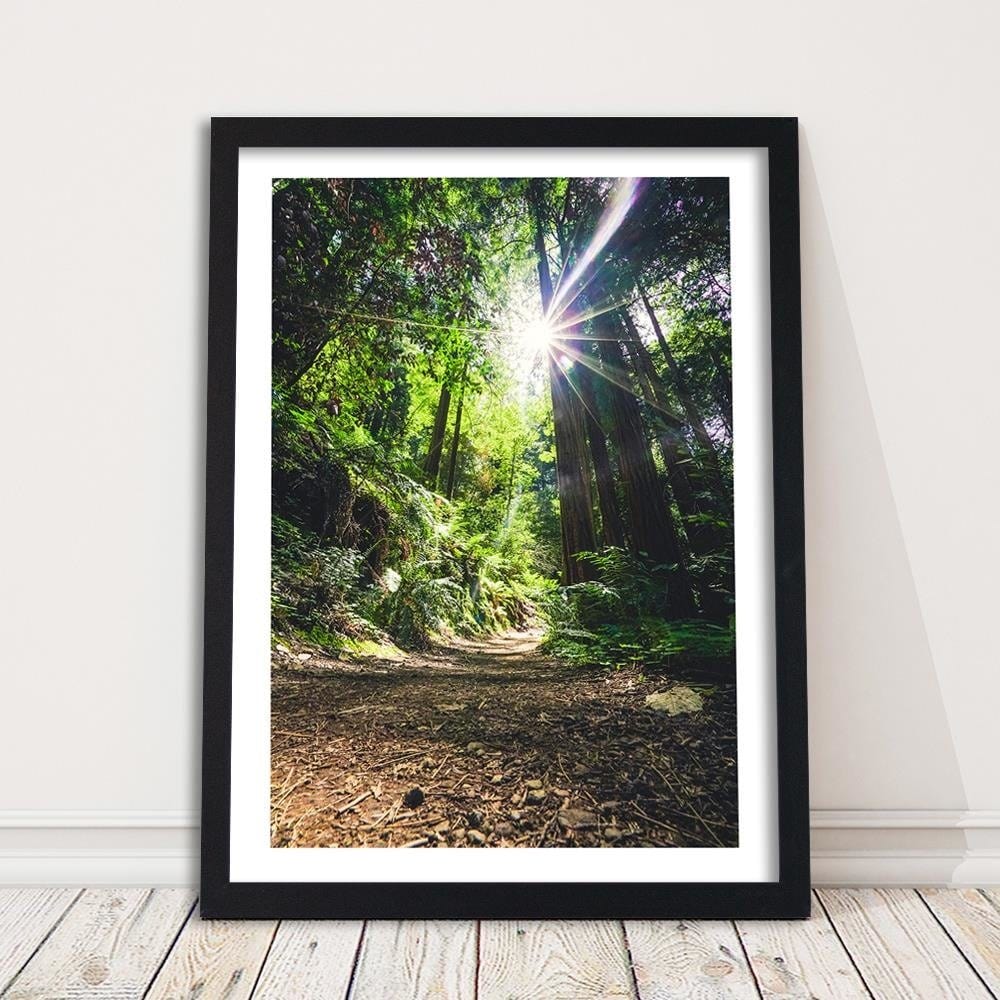 Glezna melnā rāmī - The Path In The Jungle Home Trends