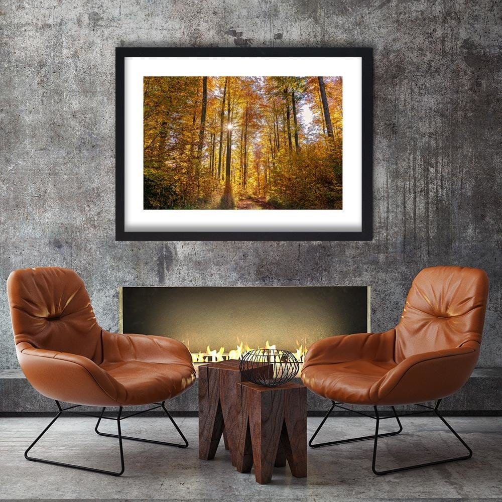 Glezna melnā rāmī - The Rays Of The Sun In The Forest Home Trends