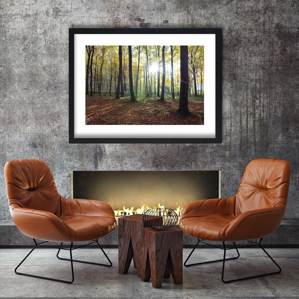 Glezna melnā rāmī - The Rays Of The Sun In The Park Home Trends