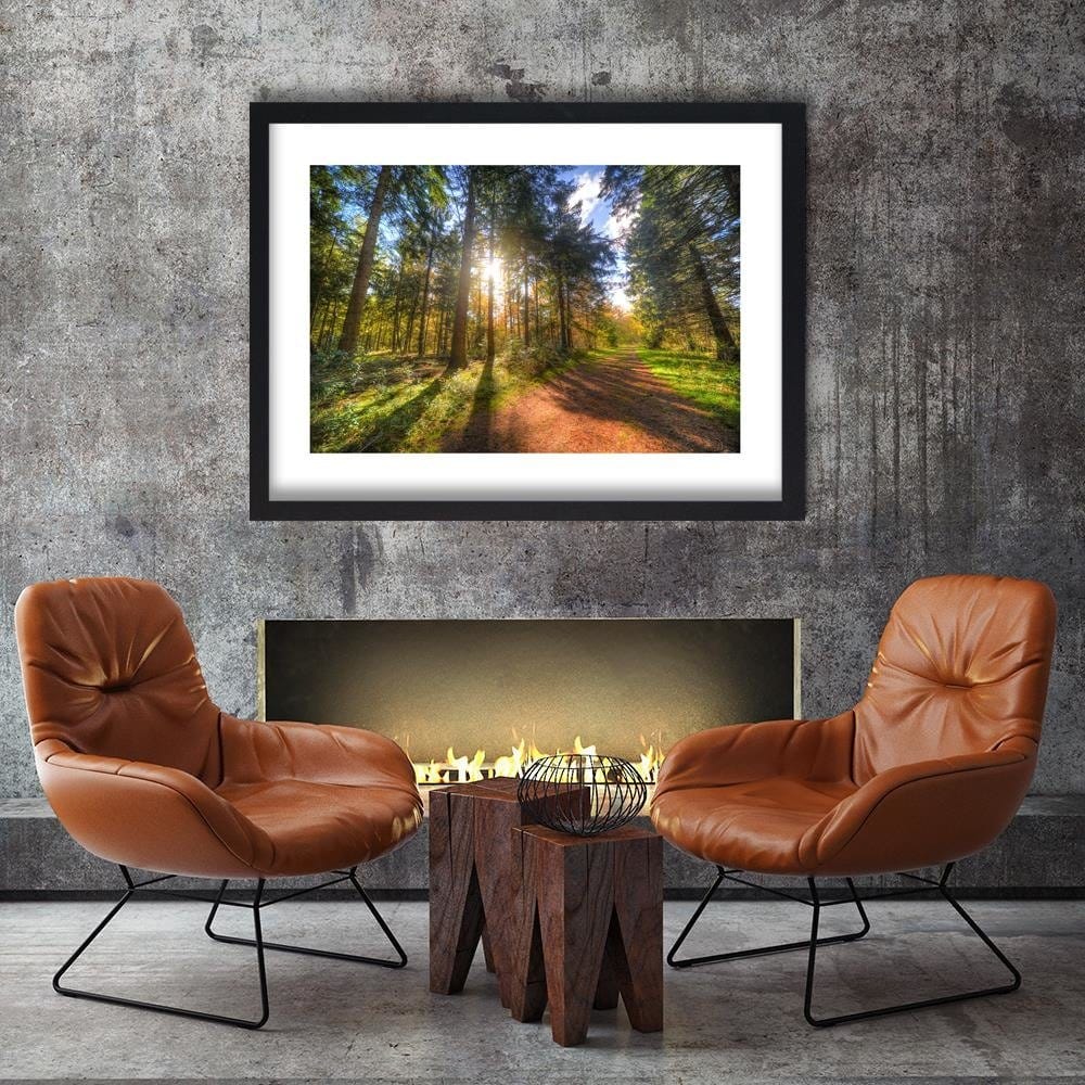 Glezna melnā rāmī - The Sun Among The Trees Home Trends