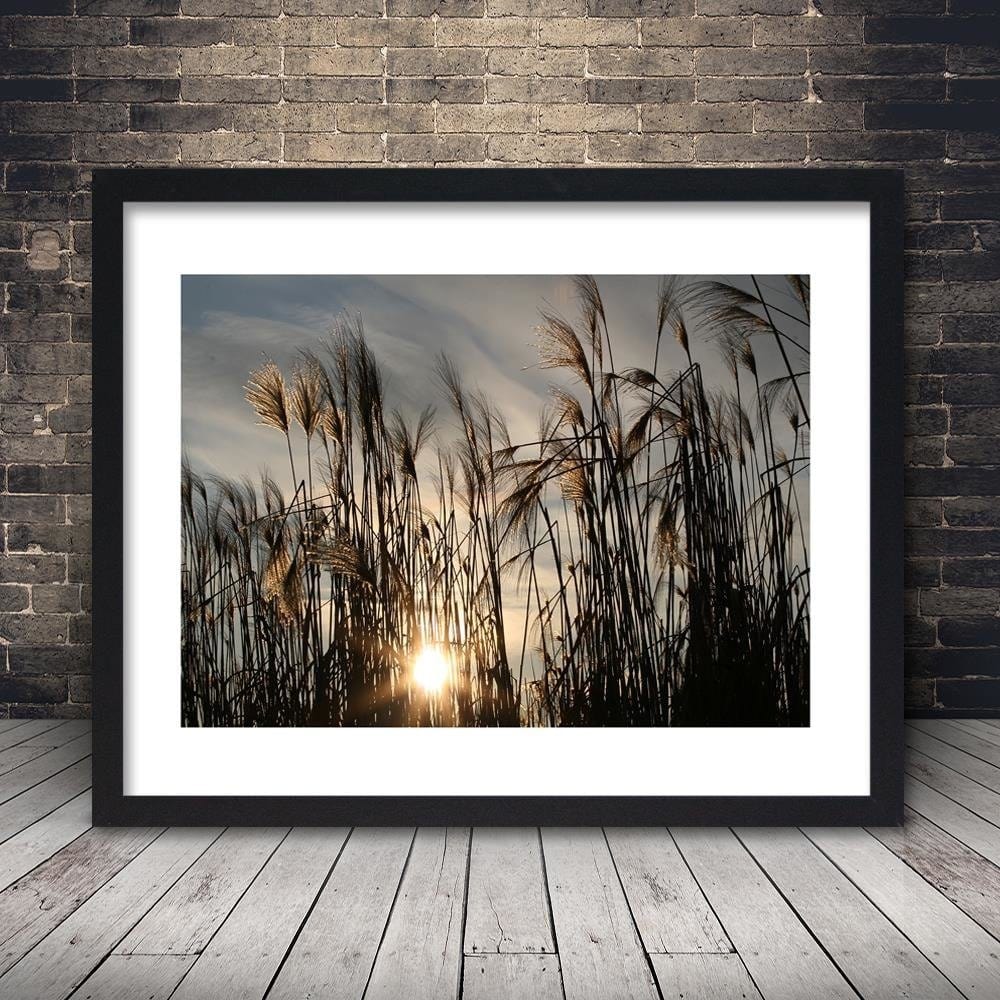 Glezna melnā rāmī - The Sun In The Grass Home Trends
