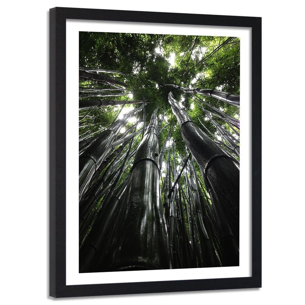 Glezna melnā rāmī - The Tops Of Tall Trees  Home Trends