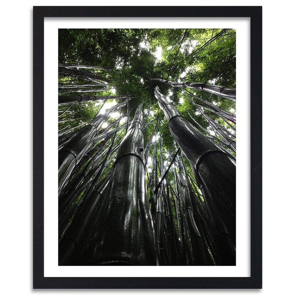 Glezna melnā rāmī - The Tops Of Tall Trees  Home Trends