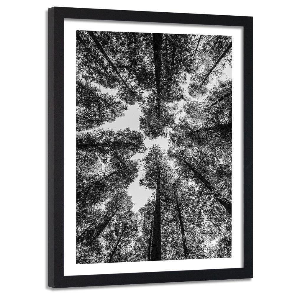 Glezna melnā rāmī - The Treetops  Home Trends