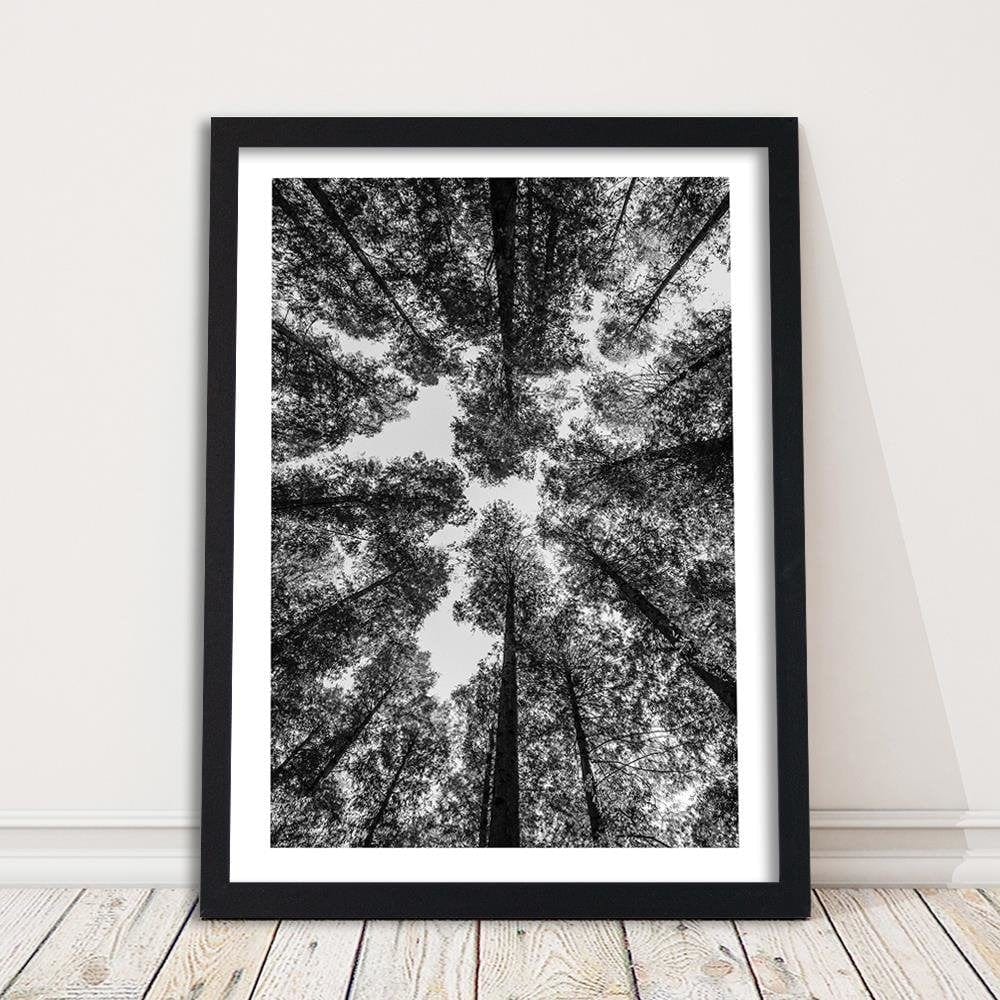 Glezna melnā rāmī - The Treetops Home Trends