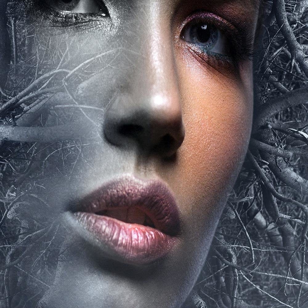 Glezna melnā rāmī - The Woman's Face In The Branches Of A Fantasy Home Trends