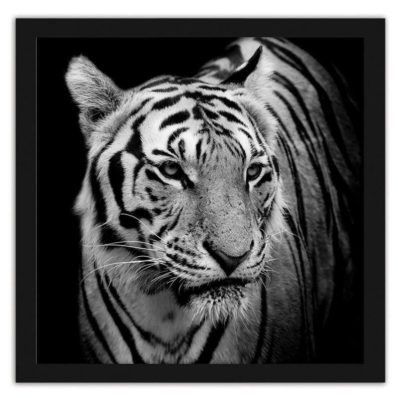 Glezna melnā rāmī - Tiger Home Trends