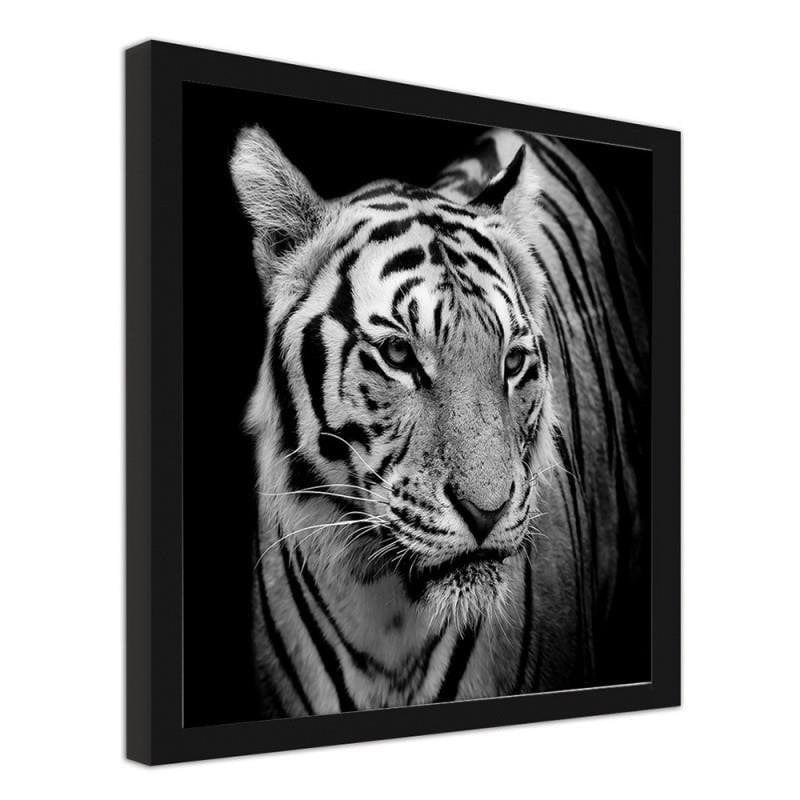 Glezna melnā rāmī - Tiger Home Trends