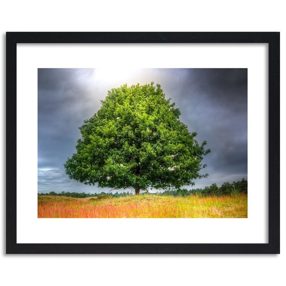 Glezna melnā rāmī - Tree Before The Storm Home Trends
