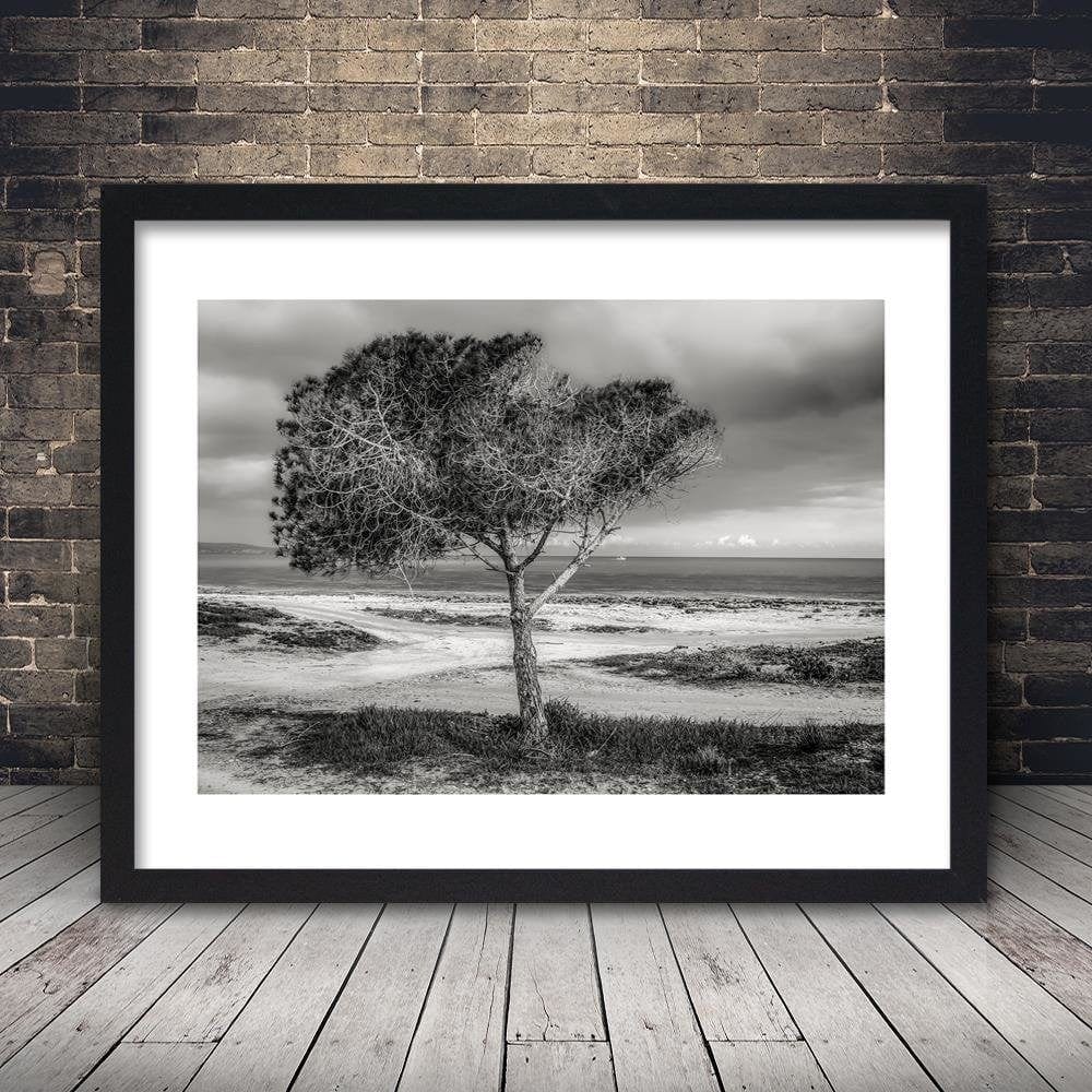 Glezna melnā rāmī - Tree By The Sea Home Trends