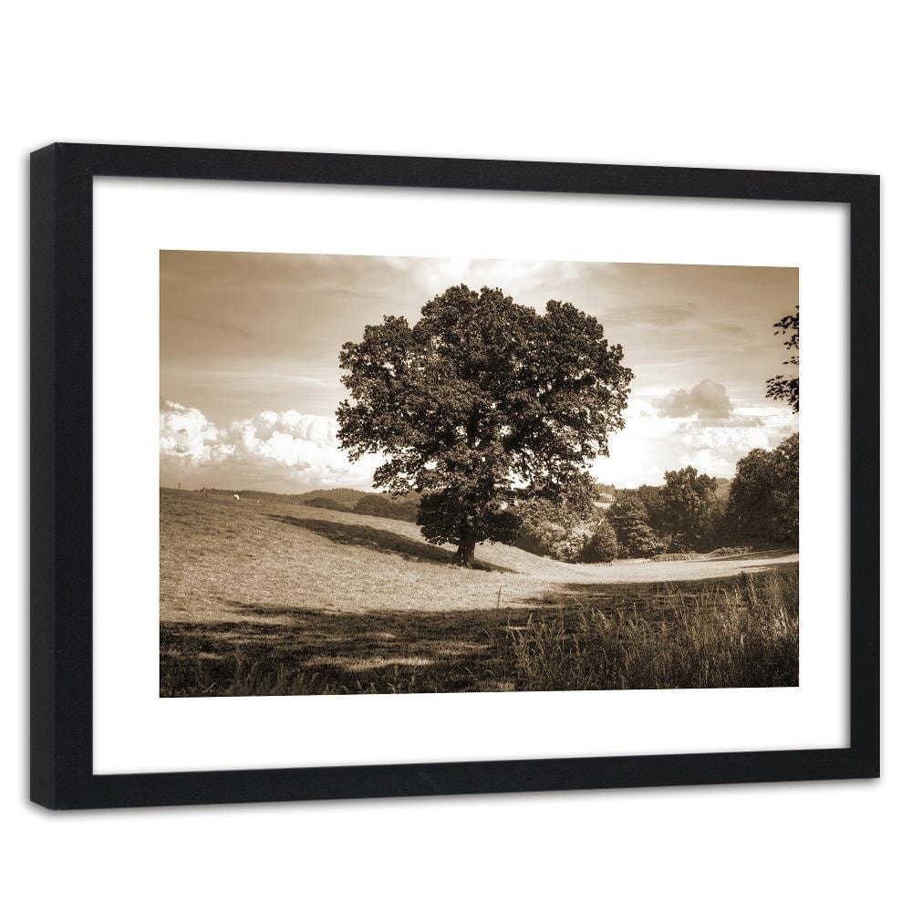 Glezna melnā rāmī - Tree Clearing 1 Home Trends