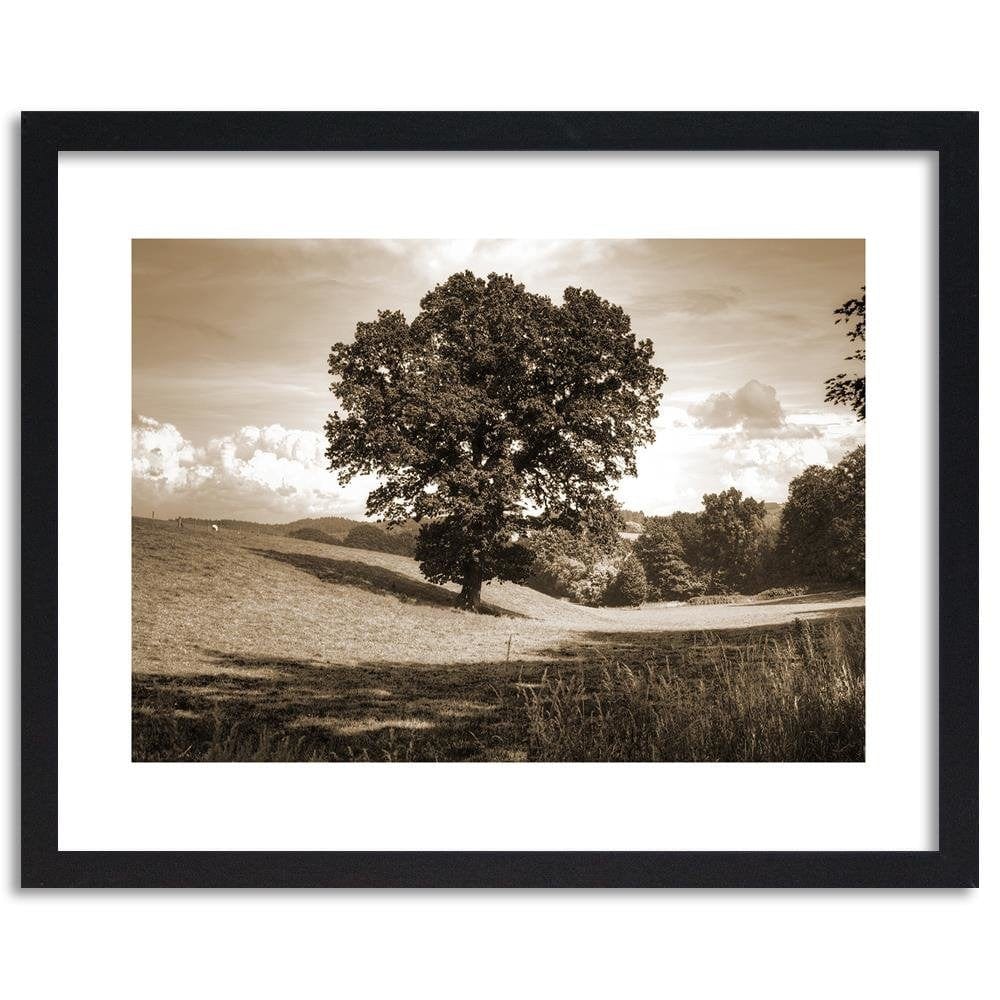 Glezna melnā rāmī - Tree Clearing 1 Home Trends