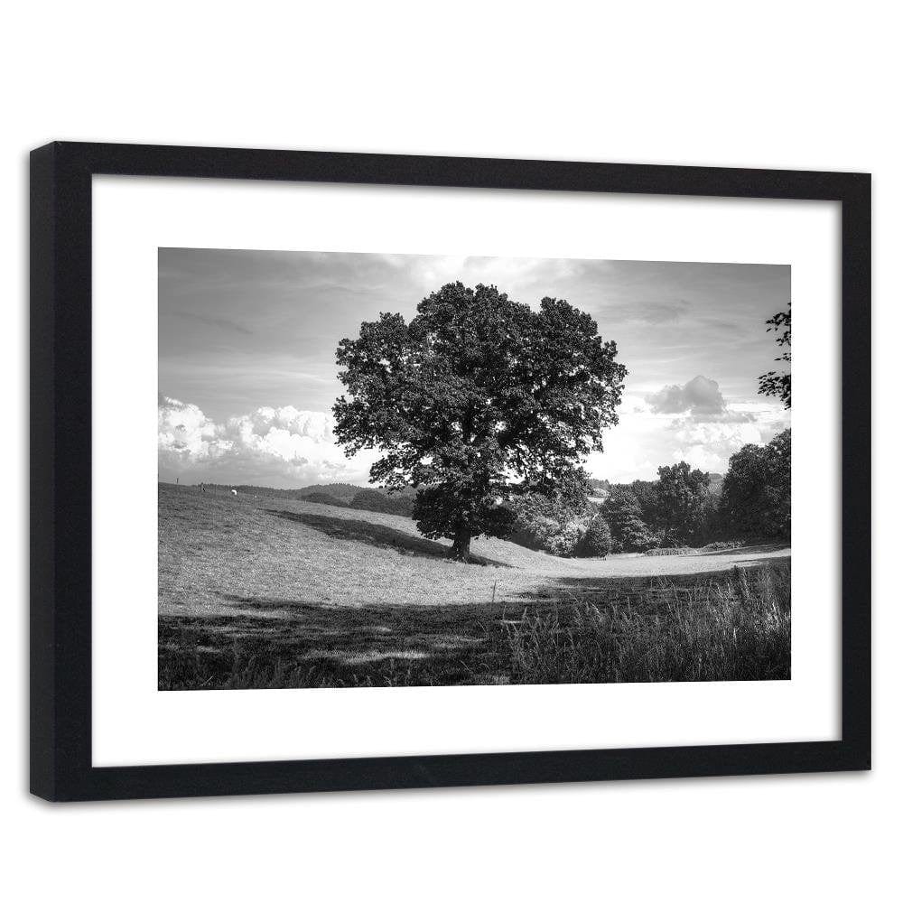 Glezna melnā rāmī - Tree Clearing 2 Home Trends