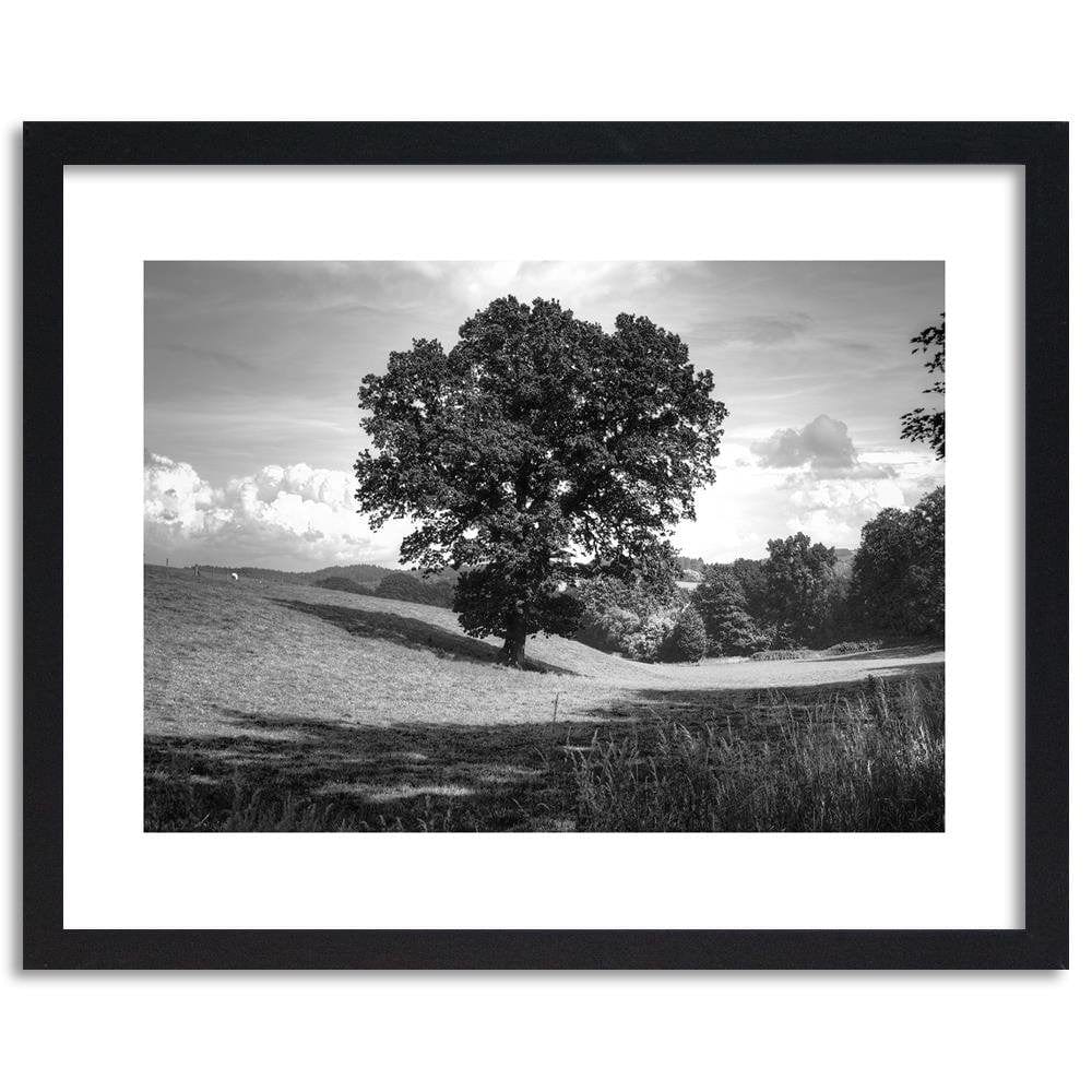 Glezna melnā rāmī - Tree Clearing 2 Home Trends