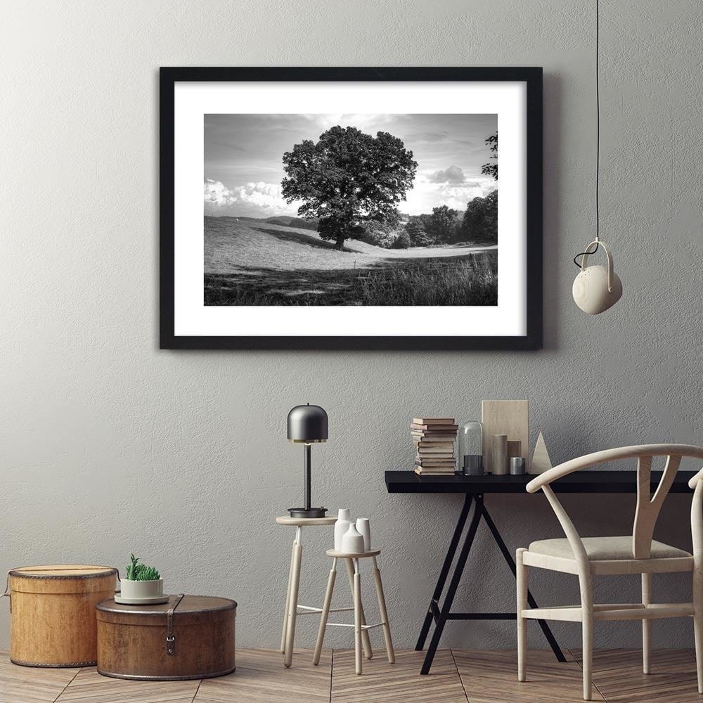 Glezna melnā rāmī - Tree Clearing 2 Home Trends